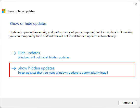 Show hidden updates