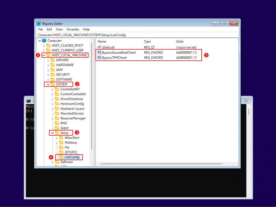 BypassTPMCheck и BypassSecureBootCheck