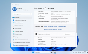 О системе Windows 11 LTSC