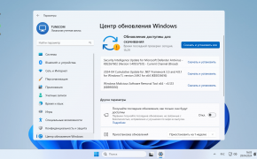 Центр обновлений Windows 11 LTSC